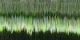 0,315 mm olive, 70 m